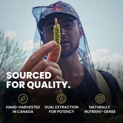 Ola Pine Pollen — Daily T-Support Drops
